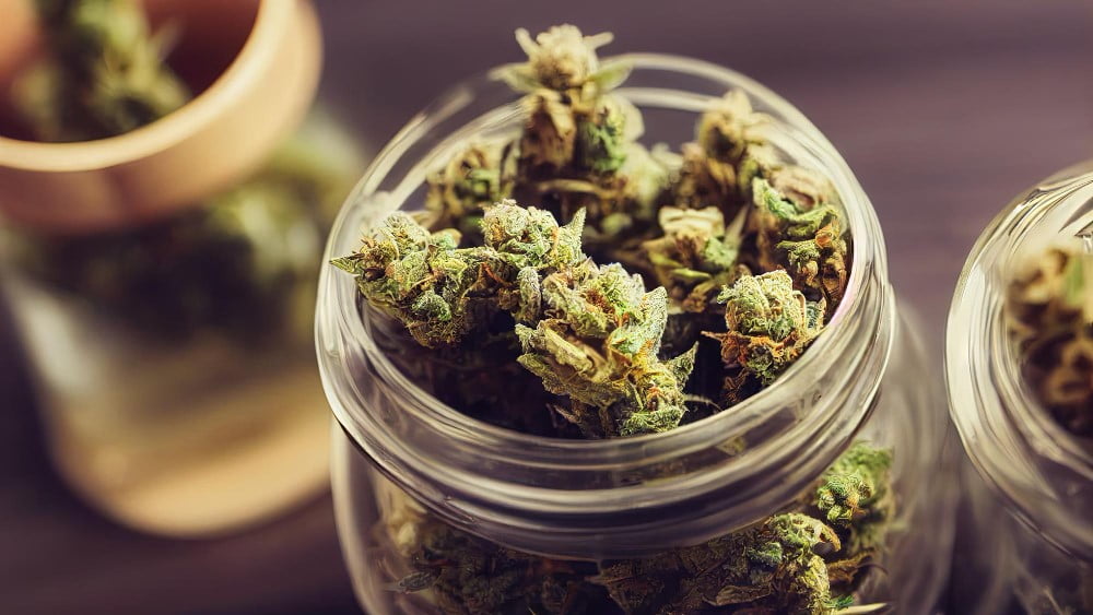 Medical cannabis cultivation and exportation from Colombia