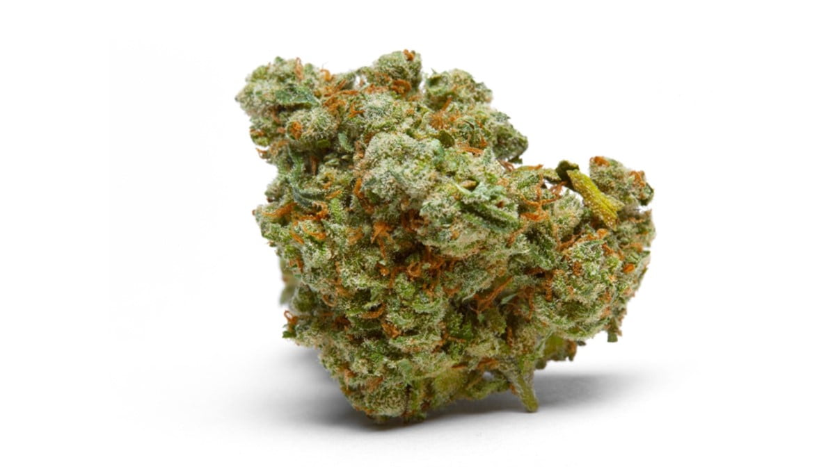 Medical cannabis cultivation and exportation in Colombia